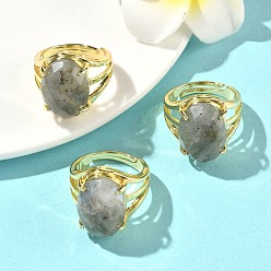 Лабрадорита Латунные манжеты с открытыми кольцами, с натуральным лабрадорита, овальные, граненые, стойки покрытие, долговечный, золотые, 18 мм