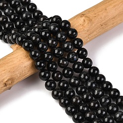 Природный Драгоценный Камень Природные астрофиллитовые бусины, круглые, 8 мм, отверстие : 1 мм, около 49 шт / нитка, 15.63'' (39.7 см)