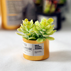 Желто-Зеленый Модель горшка для суккулентов из смолы, украшение кукольного домика микропейзажем из мха, горшок случайного цвета, желто-зеленый, 30x21 мм