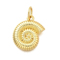 Shell Shape Латунь прелести, долговечный, без кадмия и без свинца, стойки покрытие, реальный 18 k позолоченный, формы раковины, 13.5x12.5x2 мм, отверстие : 3.5 мм