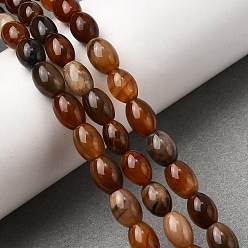 Седло Коричневый Природные окаменелое дерево бисер пряди, овальные, седло коричневый, 8~8.5x6~7 мм, отверстие : 0.7~0.8 мм, около 49~50 шт / нитка, 15.75'' (40 см)