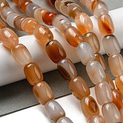 Седло Коричневый Натуральный полосатый агат / полосатые агатовые бусы, окрашенные, колонка, седло коричневый, 13.5x10~10.5 мм, отверстие : 1 мм, около 28 шт / нитка, 15.16'' (38.5 см)