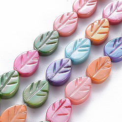 Mixed Color Electroplated Natural Freshwater Shell Beads Strands, Dyed, Leaf, Mixed Color, 10x7x3mm, Hole: 0.8mm, about 35pcs/strand, 13.98 inch(35.5cm)