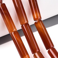 Red Agate Окрашенные натуральный красный агат бисер пряди, трубка, 29~31x8 мм, отверстие : 1 мм, около 13 шт / нитка, 15.16~15.35'' (38.5~39 см)