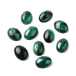 Малахит Природные кабошон малахита, овальные, 6.5~7x5x2 мм