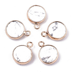 Говлит Природные подвески Говлит, кромка из латуни светло-золотистого цвета, граненые, плоско-круглые, 18x13.5x6 мм, отверстие : 2 мм