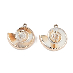 Сэнди Коричневый Покрытие акриловые подвески, с имитацией оболочки, формы раковины, песчаный коричневый, 34x34.5x10 мм, отверстие : 2.3 мм