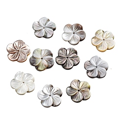 черная губная раковина Натуральные черные резные бусины из ракушек, цветок, 14.5x15~15.5x2.5~3.5 мм, отверстие : 1 мм