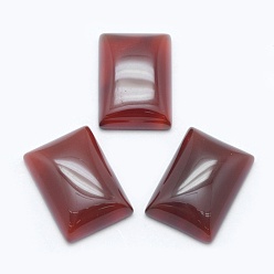 Красный Агат Природные сердоликовые кабошоны, прямоугольные, 18x13x5 мм