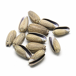 Спиральные Раковина Спиральные подвески оболочки, 27~33x12~16x9~13 мм, Отверстие : 1 мм , около 190 шт / 500 г