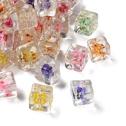 Cube Прозрачный бисер cmолой, с сухоцветом и золотой фольгой, кубические, 14~15x14~15x13.5~14 мм, отверстие : 1.8 мм