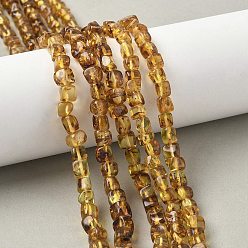 Янтарный Янтарные шарики нити, самородки, упавший камень, 5~6x5~6x4.5~5.5 мм, отверстие : 0.7 мм, около 73 шт / нитка, 15.16 дюйм (38.5 см)