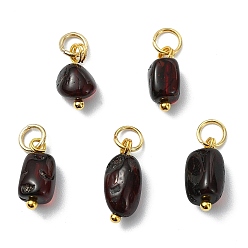 Золотой Подвески из натурального кроваво-красного янтаря, самородки прелести, с 304 кольцами из нержавеющей стали, золотые, 11.5~14x5~6.5x5~6.5 мм, отверстие : 3.5 мм