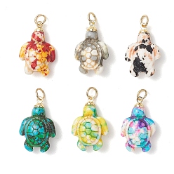 Золотой Окрашенные синтетические бирюзовые подвески, прелести черепахи, с 304 деталями из нержавеющей стали, разноцветные, золотые, 22x14x7 мм, Перейти кольцо: 5x0.8 мм, внутренний диаметр: 3.5 мм