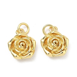 Настоящее золото 18K Латунные подвески, , стойки покрытие, долговечный, без кадмия и без свинца, реальный 18 k позолоченный, 14x11.5x5 мм, Перейти кольцо: 5x1 мм, внутренний диаметр: 3 мм