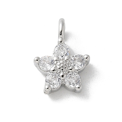 Платина Латунные микро проложить кубического циркония подвески, без кадмия, без никеля и без свинца, , платина, 12.5x9x4.5 мм, отверстие : 2.5 мм