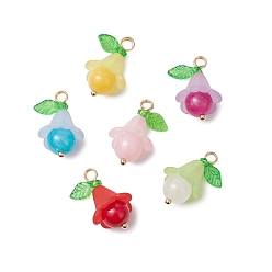 Золотой Подвески из натурального машанского нефрита, натурального белого нефрита и натурального кварца, цветочные подвески с акриловыми листьями, смешанные окрашенные и неокрашенные, разноцветные, золотые, 22.5x13.5x13.5 мм, отверстие : 2.5 мм