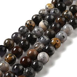 галька с  росписью Натуральные дендритные нити из бисера яшмы, круглые, 12 мм, отверстие : 1.2 мм, около 31 шт / нитка, 15.08 дюйм (38.3 см)