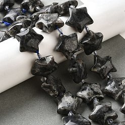 Larvikite Натуральные нити бус из ларвикита, с бисером, звезда, 20x21x10 мм, отверстие : 1.2 мм, около 19 шт / нитка, 15.59''~16.02'' (39.6~40.7 см)