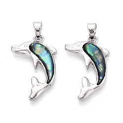 Средний Аквамарин Подвески из сплава и окрашенных натуральных раковин морского ушка, прелести дельфинов, платина, средний аквамарин, 30~30.5x19~19.5x4 мм, отверстие : 6.5x4 мм