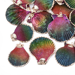 Colorful Spray Paint & Electroplate Sea Shell Pendants, with Iron Findings, Light Gold, Colorful, 40~61x36~54x3~10mm, Hole: 2mm