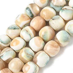 Floral White Natural Seashell Shell Beads Strands, Dyed, Smooth Round, Floral White, 10mm, Hole: 0.9mm, about 38pcs/strand, 14.96''(38cm)