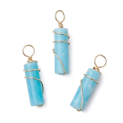 Светло-Синий Подвески из окрашенной синтетической императорской яшмы с медной проволокой, колонка прелести, золотые, голубой, 18.5~19x5 мм, отверстие : 3 мм