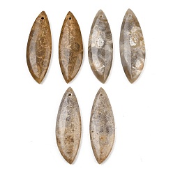 Horse Eye Натуральные ископаемые коралловые подвески, подходящие подвески, Очарование лошадиных глаз, 39~40x13~13.5x4~4.5 мм, отверстие : 1.2 мм