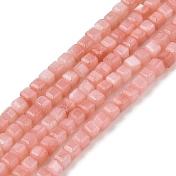 Темный Лосось Натуральные пресноводные окрашенные бусы из ракушек, граненый стол, вырезанный куб, темный лосось, 3~3.5x3~3.5x3~3.5 мм, отверстие : 1 мм, около 123 шт / нитка, 15.35'' (39 см)