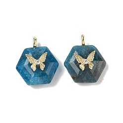 Апатит Граненые подвески из натурального апатита, Шестиугольные подвески с латунной паве из прозрачных кубических цирконий в форме бабочки, реальный 18 k позолоченный, долговечный, стойки покрытие, 22x19x10 мм, отверстие : 3.5x2 мм