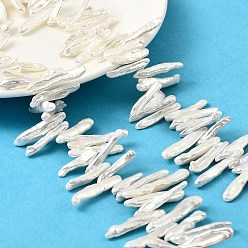 Морская Ракушка Натуральный жемчуг в стиле барокко кеши, культивированный пресноводный жемчуг, Топ пробуренной, придерживаться, класс 8а++, цвет морской раковины, 14~36x2.5~7x2.5~7 мм, отверстие : 0.5 мм, около 82~99 шт / нитка, 14.96~15.35'' (38~39 см)