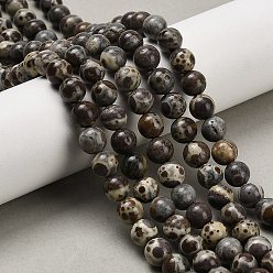 Природный Драгоценный Камень Нити бусин из натуральной яшмы астроита, круглые, 6.5 мм, отверстие : 0.7 мм, около 61 шт / нитка, 15.55'' (39.5 см)