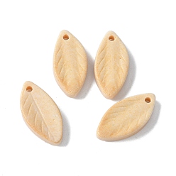 Мокасин Подвески из натурального радужного алашанского агата, окрашенные, лист прелести, мокасин, 16.5~17x17.5~18x2.5~3 мм, отверстие : 1.2 мм