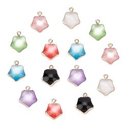 Mixed Color Resin Pendants, with Golden Plated Iron Loops, Imitation Cat Eye Style, Star, Mixed Color, 19x15.5x8mm, Hole: 1.8mm, 7 colors, 2pcs/colors, 14pcs/box