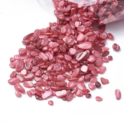 Indian Red Shell Beads, No Hole Beads, Dyed, Chip, Indian Red, 1~15x1~15x0.5~5mm, about 450g/bag