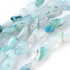 Hemimorphite Natural Hemimorphite Beads Strands, Chip, 7~15x5~8mm, Hole: 1mm, about 46~49pcs/strand, 15.3~16.1 inch(39~41cm)