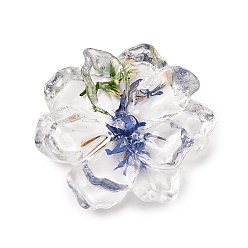 Blue Transparent Resin Cabochons, Flower, with Dried Flower, Blue, 22.5x25x6.5mm