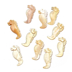 Античный Белый Подвески из натуральной желтой оболочки, прелести морских коньков, старинный белый, 41.5x18x2.5 мм, отверстие : 1.5 мм