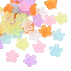 Gemischte Farbe Gefrostete Perlenkappen aus Acryl, Blume, Gemischte Farbe, 11.5x12x3.5 mm, Bohrung: 1 mm