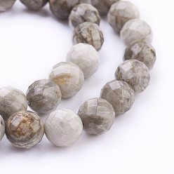 Серебряный Лист Джаспер Природное серебро листьев яшмы бисер нитей, круглые, граненые, 10 мм, отверстие : 1 мм, около 40 шт / нитка, 15.7 дюйм (40 см)