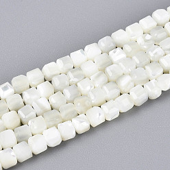 Кремово-белый Натуральная оболочка из трохидных оболочек, граненый стол, вырезанный куб, кремово-белые, 3~3.5x3~3.5x3~3.5 мм, отверстие : 0.7 мм, около 115~117 шт / нитка, 15.16~15.35 дюйм (38.5~39 см)