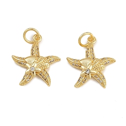 Прозрачный Латунные микро проложить кубического циркония подвески, морская звезда, с целью перехода в кольце, долговечный, без кадмия и без свинца, стойки покрытие, золотые, прозрачные, 19.5x17.5x3.5 мм, отверстие : 4 мм
