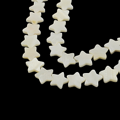 Other Sea Shell Star Shape Natural Sea Shell Beads Strands, 14~15x15~16x2.5~4mm, Hole: 1mm, about 30pcs/strand, 15.7