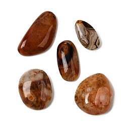 Сардоникс Подвески из натурального сардоникса, разнообразные, 26~60x15~40x4~16 мм, отверстие : 1.2~3 мм