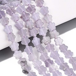 Аметист Нити бусин из натурального лавандового аметиста, звезда, 5.5~6x6~6.5x2~3 мм, отверстие : 0.7~0.8 мм, около 63~65 шт / нитка, 14.76~15.16 дюйм (37.5~38.5 см)