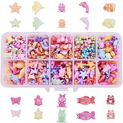 Mixed Color Craft Style Acrylic Beads, Mixed Shapes, Mixed Color, 13.5x7x3cm