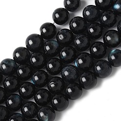 Черный Натуральный черный оболочки губ бисер нитей, окрашенные, круглые, чёрные, 7~7.5 мм, отверстие : 1 мм, около 54 шт / нитка, 14.96 дюйм (38 см)