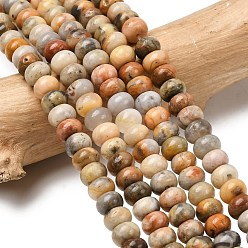 Сумасшедший Агат Природные сумасшедший агат бисер нитей, рондель, 6.5~7x4~4.5 мм, отверстие : 0.8 мм, около 89 шт / нитка, 15.35'' (39 см)