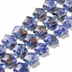 Blue Spot Jasper Natural Blue Spot Jasper Beads Strands, with Seed Beads, Puffed Star, 14~15.5x15~16x6.5~7mm, Hole: 1mm, about 24~25pcs/strand, 15.55''~15.95''(39.5~40.5cm)