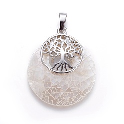 White Shell Natural White Shell Mother of Pearl Shell Pendants, with Platinum Tone Brass Findings, Flat Round with Tree of Life, 33.5x28~28.5x6.5mm, Hole: 5x7mm